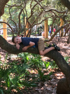 eric laying down on the 30a tree along seaside florida art district